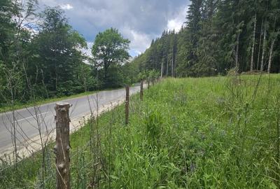 Teren Construcții intravilan de 7546 mp, în Valea Doftanei