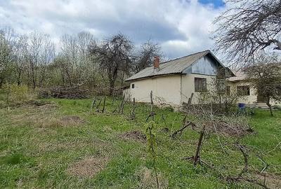 Teren de 2671 mp, în Plai - 5
