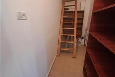 Casa individuala pe parter Sagului-Liviu Rebreanu - 9