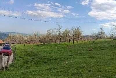 Teren de 2000 mp, în Talea - 6