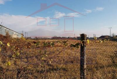 Teren de 8681 mp, în Odobești - 1