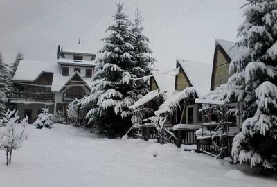 Casă cu 6 camere cu Teren 6060 Mp în Căsoi - 10