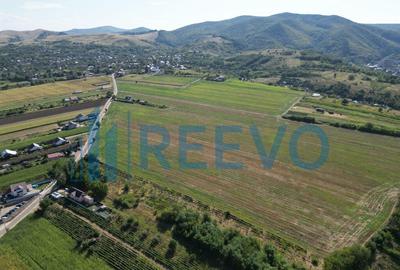 Teren de vanzare, Com. Sarata, Jud. Bacau - 11