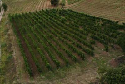 Teren extravilan de 230000 mp, în Vernești - 8