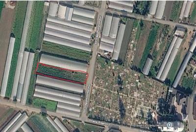 Teren de 5000 mp, în Băleni - 1
