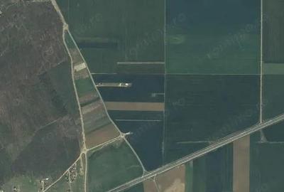 Oportunitate! Teren intravilan 10.128 mp - Destina?ie mixta - Brane?ti - 2