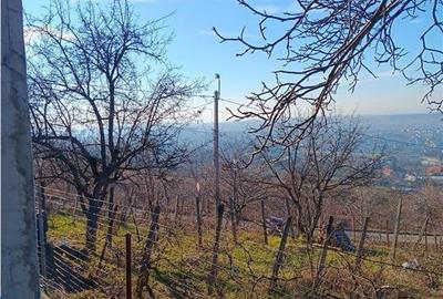 Bucium, Fundac Paun, teren1500mp. intravilan  str asfaltata - 4