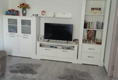 Apartament cu 2 camere semidecomandat, mobilat în Brazda lui Novac - 3