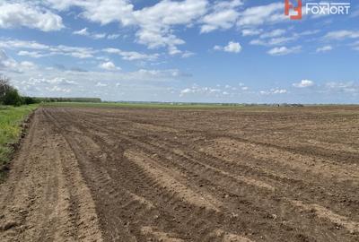 Teren Agricol | Opurtunitate investitie | Sananadrei - ID V713 Teren Agricol | Opurtunitate investitie | Sananadrei - ID V713 - 6