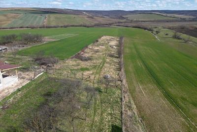 Spațiu comercial, în Sântelec - 10