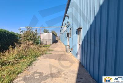 Hală de vânzare - Măgurele - Atomistiilor - 5