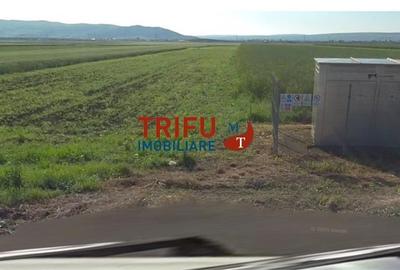 Spațiu comercial, în Bărăști - 5
