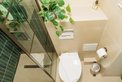 Apartament cu 2 camere semidecomandat în Cișmigiu - 11