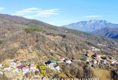 CALIMANESTI, TEREN 1231 MP CALIMANESTI, TEREN 1231 MP - 2