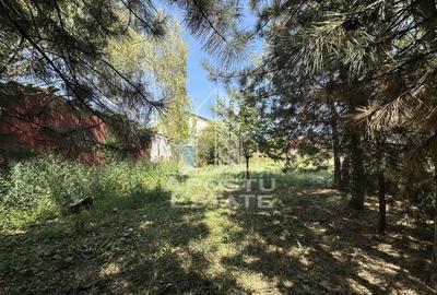 Casa individuala, oportunitate pentru investitie, zona Steaua - 17