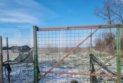 Teren de 50000 mp, în Ciorani