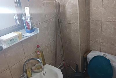 Garsonieră decomandată în Valea Rosie - 2