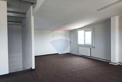 Spațiu industrial, de 413 mp, în Exterior Vest - 13