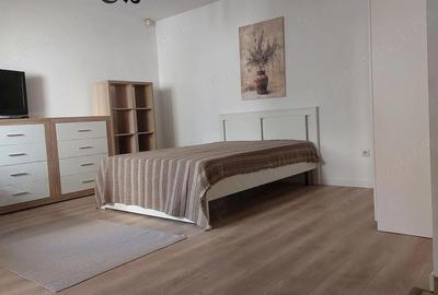 Garsonieră decomandată în Dristor - 1