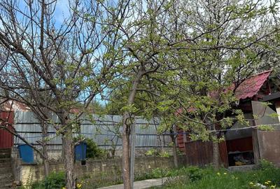 Anina caras Severin 2 case de vanzare la pre?ul uneia Anina caras Severin 2 case de vanzare la pre?ul uneia - 2