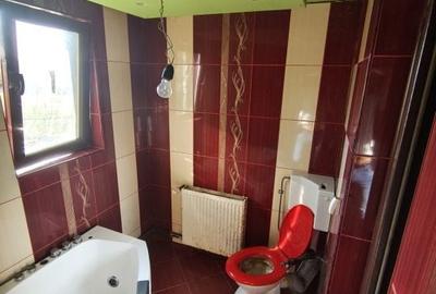 Casă cu 3 camere în Valea Crișului - 5