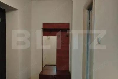 Apartament cu 2 camere semidecomandat în Botizului - 3