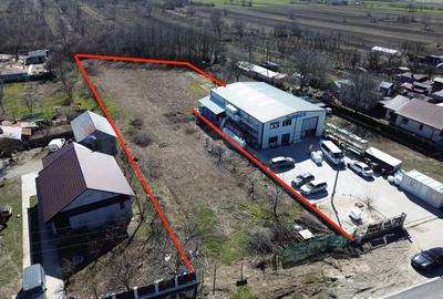 Teren de 3631 mp, în Mândrești-Munteni - 1