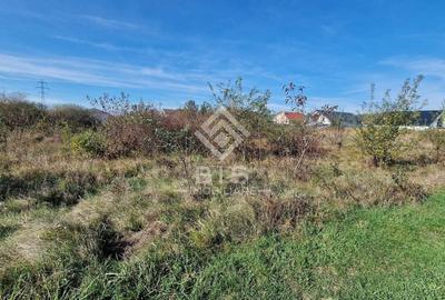 Teren agricol intravilan de 1705 mp, în Unirea - 6