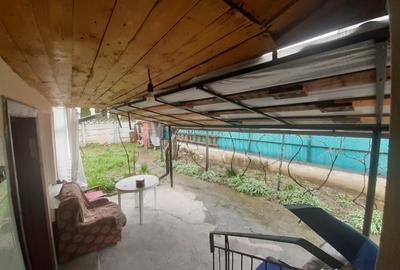 Vand casa particulara pe Gh.Doja, 2 camere, 234 mp teren - 2