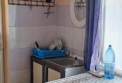 Casă cu 2 camere cu Teren 8891 Mp în Sântioana - 1