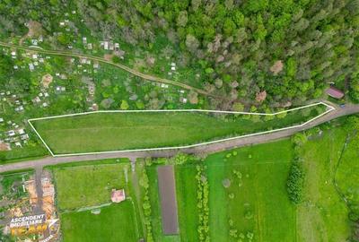 FILM! Teren intravilan, 6.500 mp, Papauti, Covasna - 3