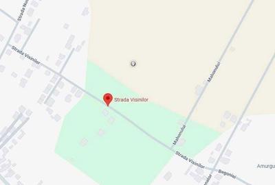 Spațiu comercial, în Dragomirești-Vale - 2