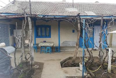 Casă cu 3 camere cu Teren 2500 Mp în Balabancea - 1