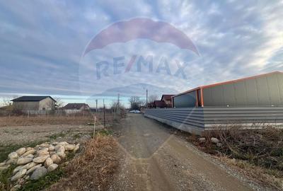 Teren agricol extravilan de 4672 mp, în Câmpineanca