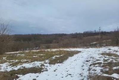 Teren agricol extravilan de 1756 mp, în Dobrovăț - 3