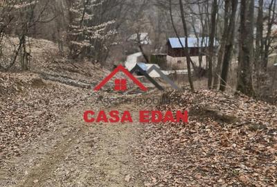 Teren de 3448 mp, în Provița de Jos - 1