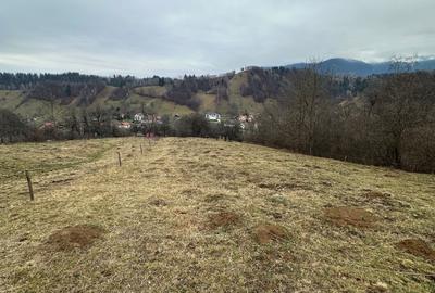 Spațiu comercial, în Șimon