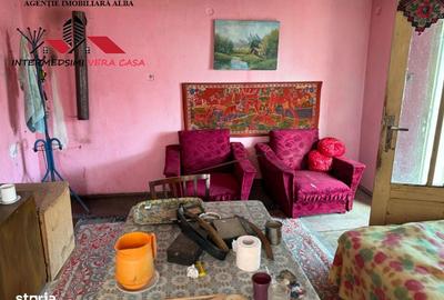 Casă cu 4 camere cu Teren 7701 Mp în Vințu de Jos - 6