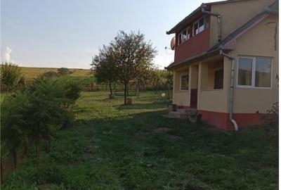 Teren 11.600 mp intravilan, cu casa si utilitati pe proprietate - Campenesti - 3