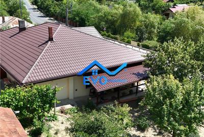 Casa de Uricani, Miroslava, Iasi - 0 Comision, 1000 mp Tere