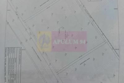 Teren de 900 mp, în Izvorani - 3