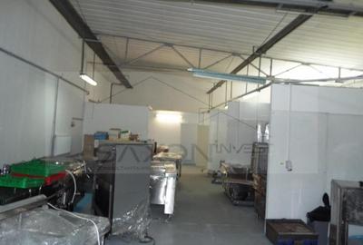 Inchirieri Spatii industriale ILFOV - SUD JILAVA - 18