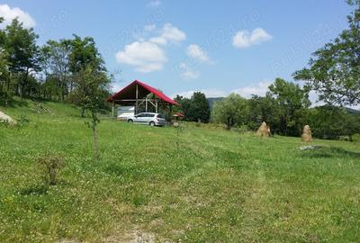 Teren de 5000 mp, în Galeșu - 3