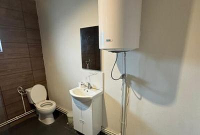 Casa cu 3 camere in Tocile - 13