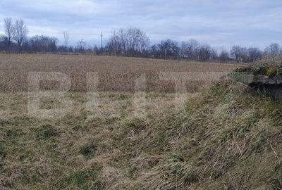 Casă cu 4 camere cu Teren 5450 Mp în Central - 3