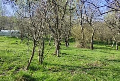 Teren intravilan de 1506 mp, în Cătunu (Drajna) - 7