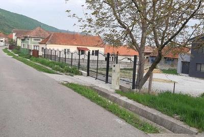 Teren de 2000 mp, în Vețel - 3