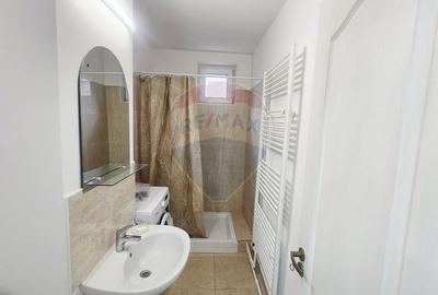 Apartament cu 1 camere de inchiriat in zona Central - 7