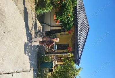 Casă cu 2 camere în Vitănești - 3