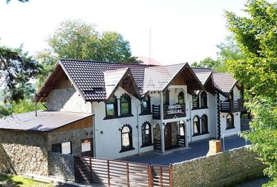 Pensiune de vanzare in Sovata Conacul Cosalina - 6